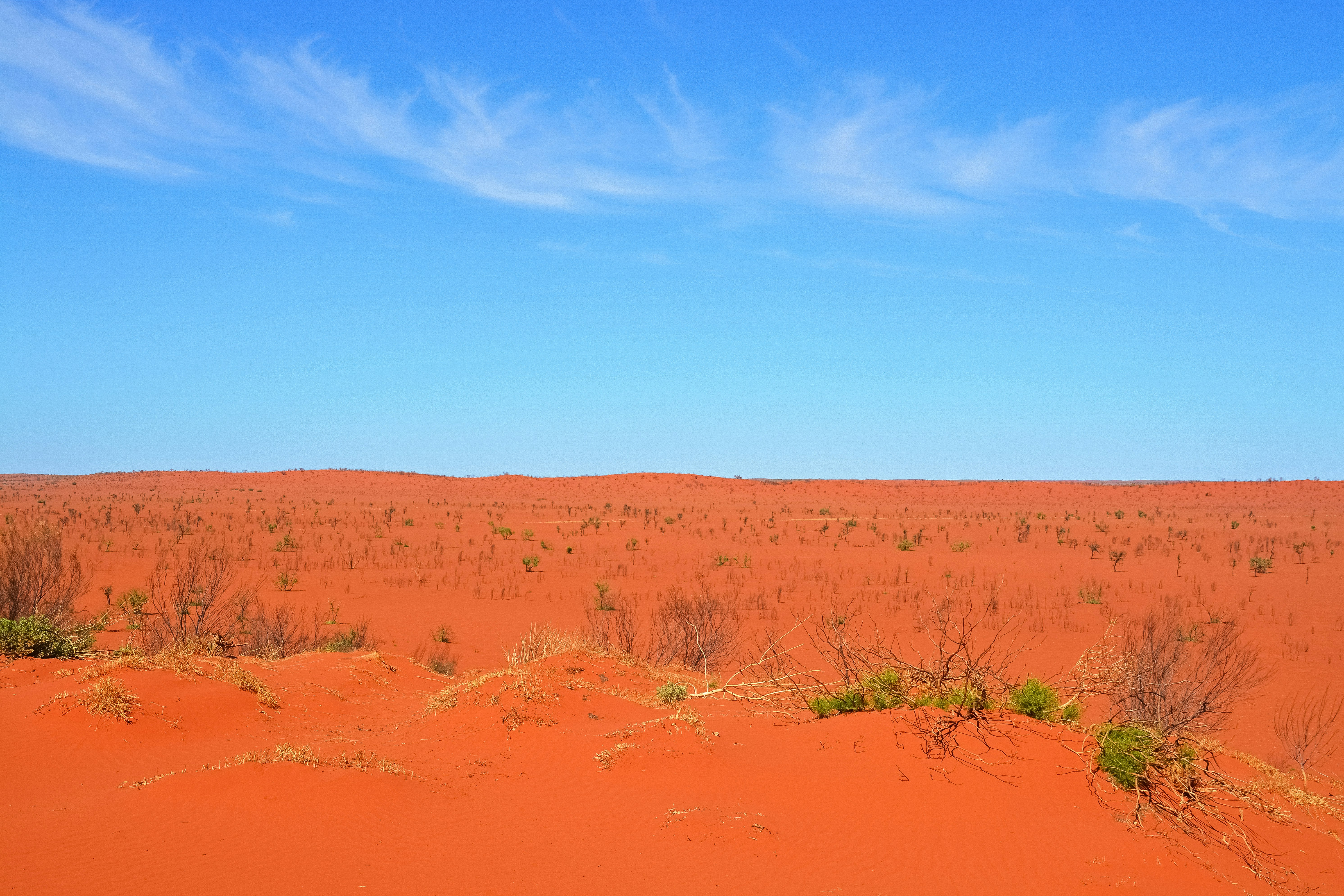 brown grass field under blue sky during daytime